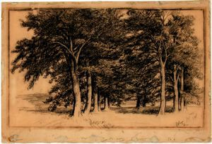 Image of Untitled (trees)