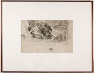 Image of Untitled (tree sketch)