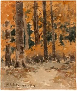 Image of Untitled (forest scene)