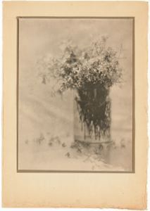 Image of Flowering Shrub in Glass