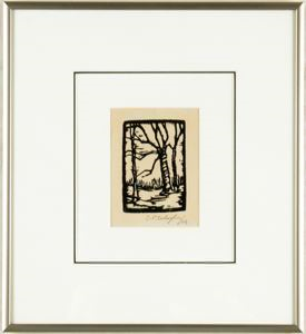 Image of Untitled (Beech Tree, Hanover)