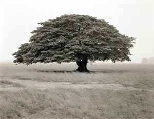 Image of Costa Rica