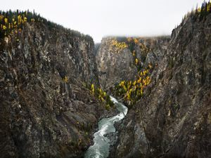 Image of Stikine River, Northern British Columbia, Canada