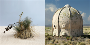 Image of Trinity Equivalent [Yucca, White Sands National Park, New Mexico | Observatory, White Sands Missile Range, New Mexico]