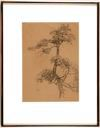 Image of Tree Study