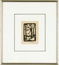 Image of Untitled (Beech Tree, Hanover)